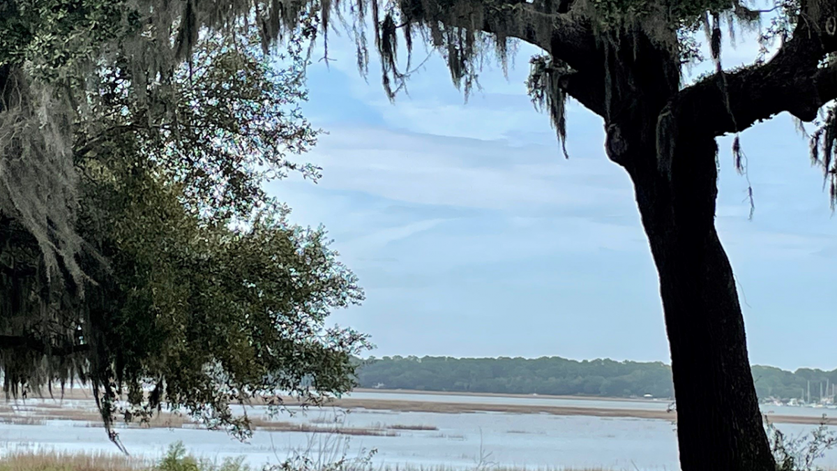 View from Beaufort Office