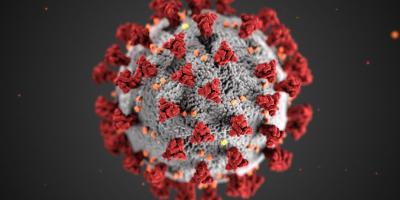 Image of the COVID-19 Virus