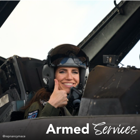 Rep Nancy Mace Committee Assignments