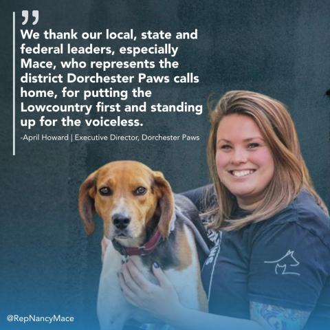 dorchester paws lte