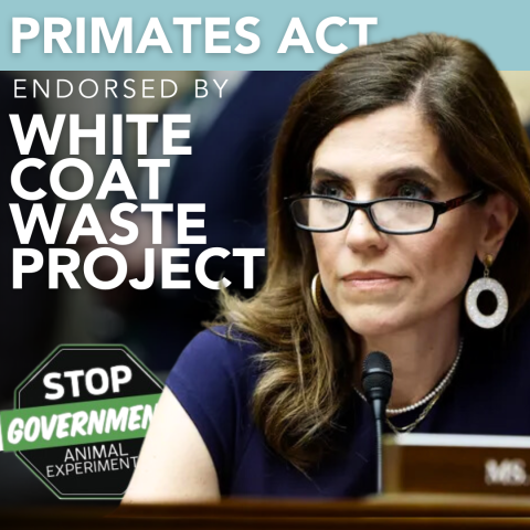 Congresswoman Nancy Mace South Carolina Primates Act White Coat Waste Project