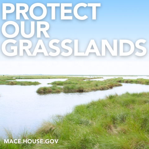 Congresswoman Nancy Mace Conservation Efforts 