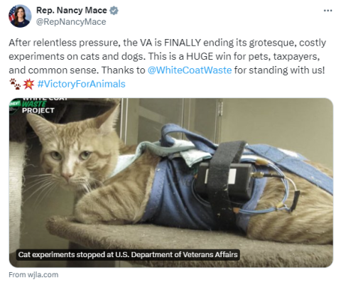 Congresswoman Nancy Mace VA End Cat Testing Animal Welfare