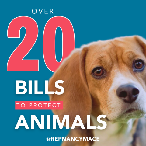Congresswoman Nancy Mace Supports Animal Welfare