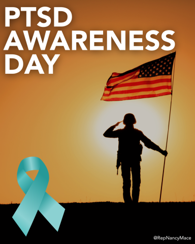 PTSD Awareness VETS