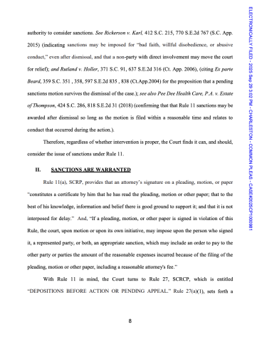 sanctions page 8