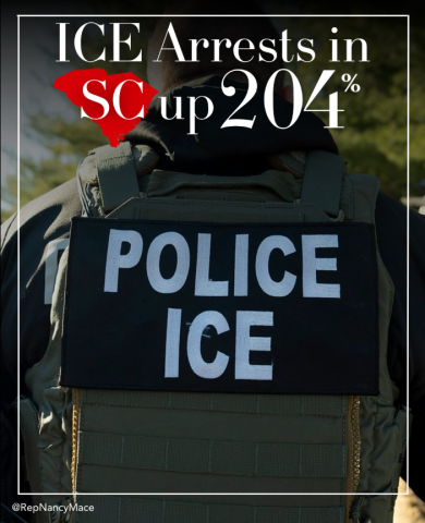 ice arrests
